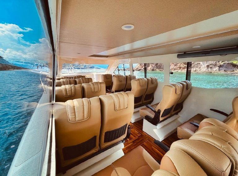 7b03ccb2-06c0-4d65-af2b-0197e2b3c131